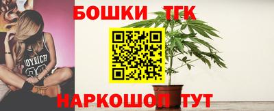 винт Михайловка
