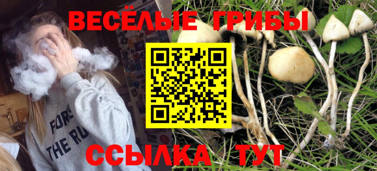 Псилоцибиновые грибы мицелий  Вход с VPN  Гудермес 
